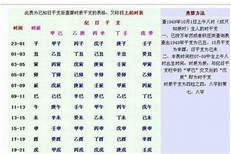 八字重量表2023|八字重量計算器